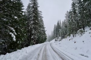 Snowy Road