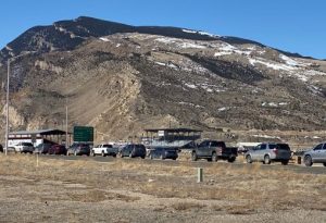 Food Pantry Line at Cody Rodeo Grounds