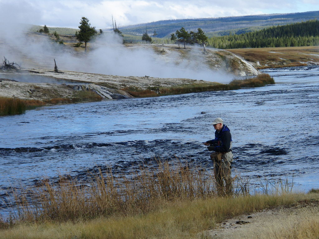 Fly Fishing in Yellowstone