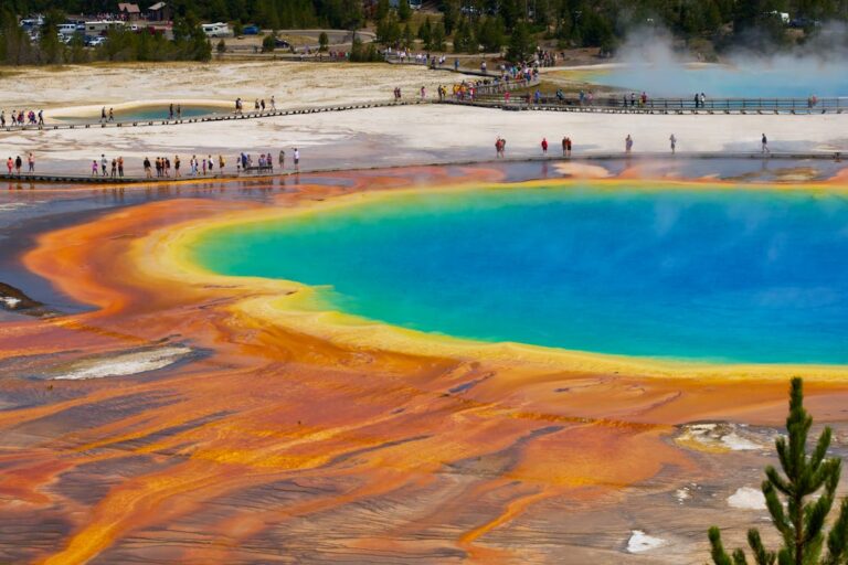 Top 10 Things To Know About Visiting Yellowstone National Park During The 2024 Summer Season