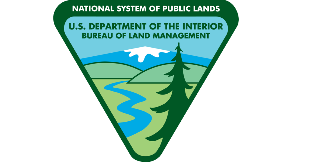 BLM logo