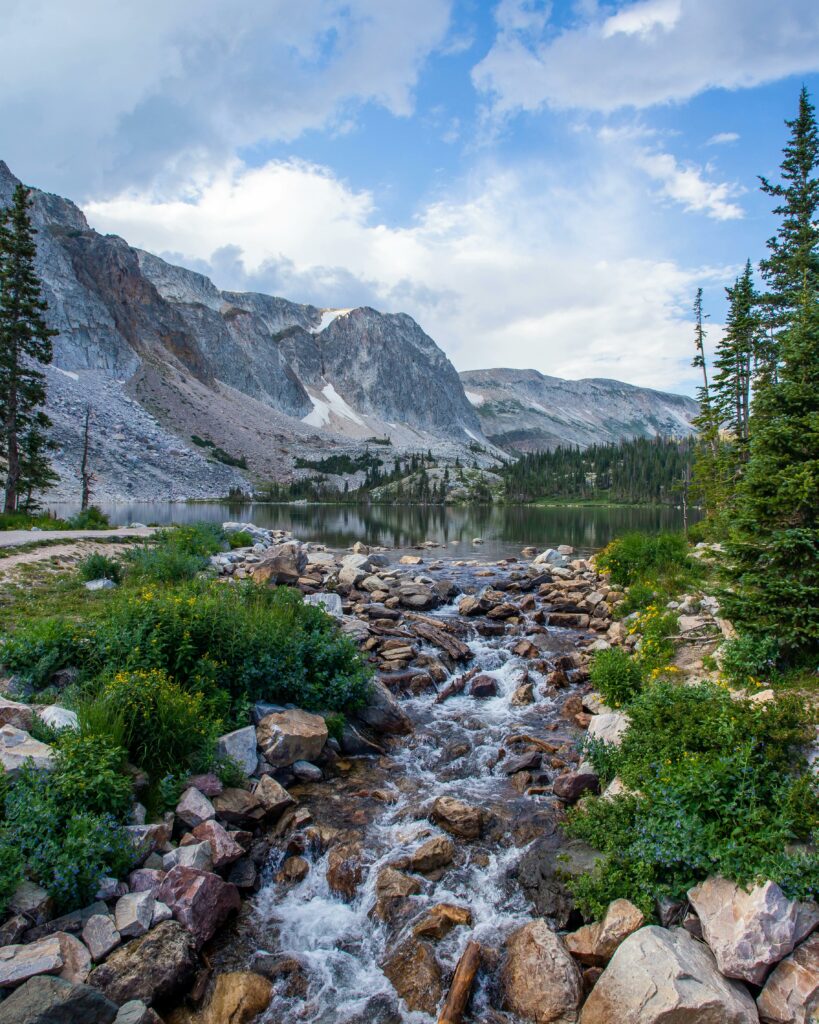 Scene In Wyoming