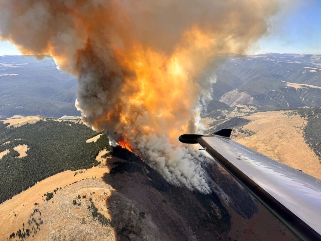 Elk Fire