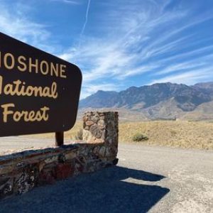 Shoshone National Forest sign