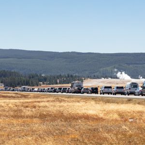 Yellowstone vehicle traffic