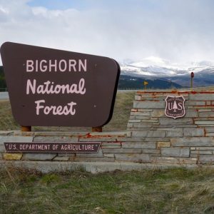 Bighorn National Forest