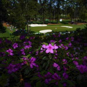 Azaleas frame 16th Green during a practice round for the Masters golf tournament on Monday, April 5, 2021, in Augusta, Ga. (AP Photo/Matt Slocum)