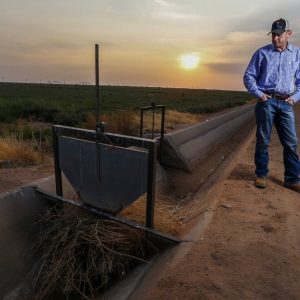 Will Thelander, a partner in his family’s farming business, looks into a dry irrigation canal on his property, Thursday, July 22, 2021, in Casa Grande, Ariz. The Colorado River has been a go-to source of water for cities, tribes and farmers in the U.S. West for decades. But climate change, drought and increased demand are taking a toll. The U.S. Bureau of Reclamation is expected to declare the first-ever mandatory cuts from the river for 2022. (AP Photo/Darryl Webb)