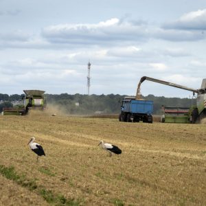 Russia Ukraine War Grain Deal