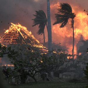 Hawaii Fires