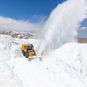 Courtesy Yellowstone National Park