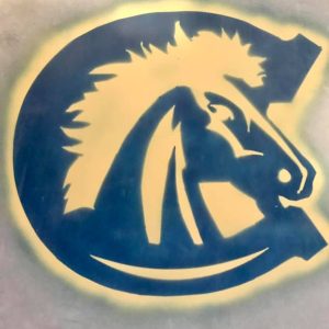 CHS Blue and Gold painted logo