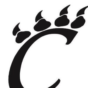 Cody Cubs Logo 2