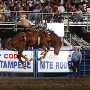 Cody-Nite-Rodeo_5172e9bf-5056-a36a-0b596694f96b48a8.jpg