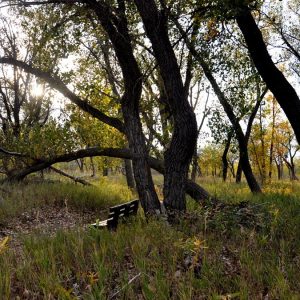 Confluence Trail