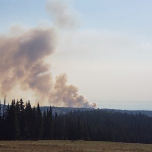 Crater Ridge Fire in Bighorn National Forest