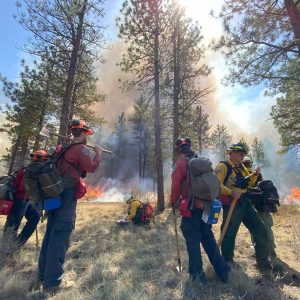 Image courtesy of Greater Yellowstone Fire Action Network
