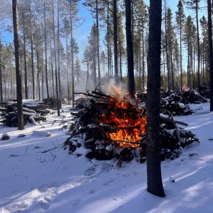 Grommund Creek picture