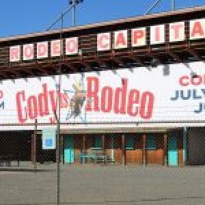 Cody Nite Rodeo Bull Shot Multiple Times within City Limits