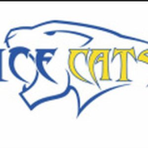 Ice Cats