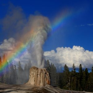 Lone_Star_Geyser_2016