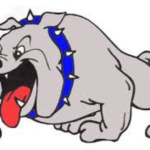 Lovell Bulldog