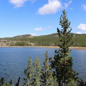 Mallard Lake Trail