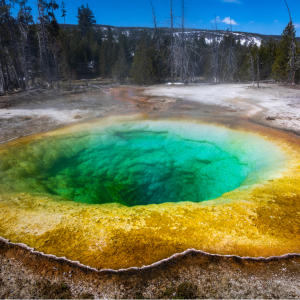 Yellowstone