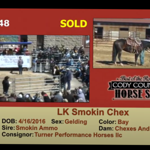 Photo come from Cody Horse Sale on SLA TV