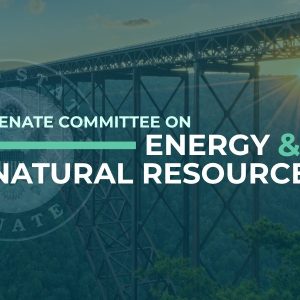 Senate Committee Energy and Natural Resource logo