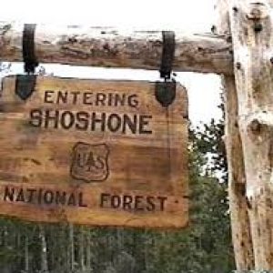 Shoshone-National-Forest