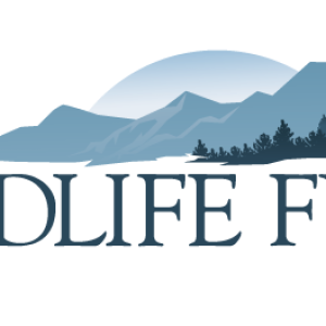 WyldlifeFund-LogoWhite.png