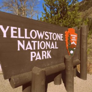 Yellowstone-712x534