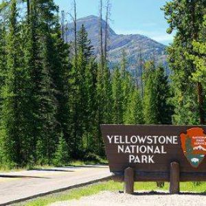 Yellowstone Park Sign Summer