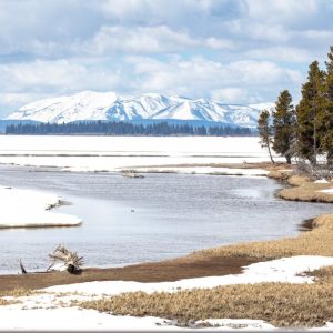 Yellowstone-Pelican-Creek-1024x683.jpg