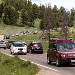 Yellowstone-Traffic