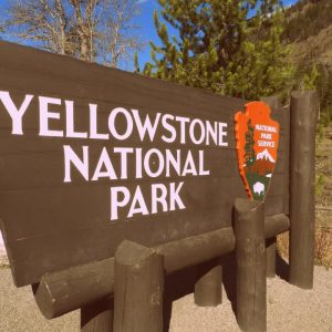 Yellowstone