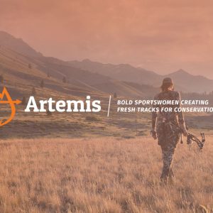 artemis