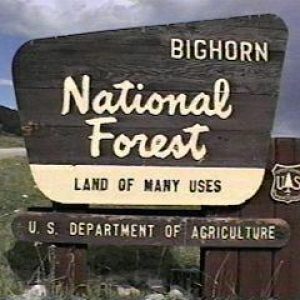 bighorn national forest sign