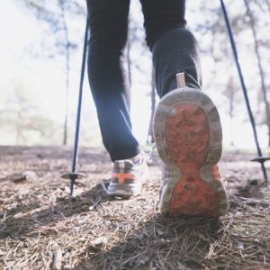 crop-legs-walking-forest-1024x683.jpg