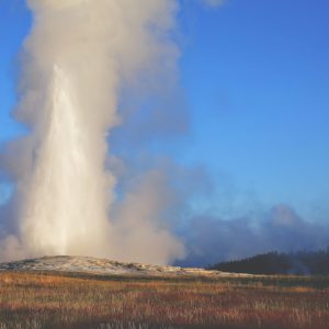 Old Faithful