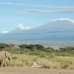 kilimanjaro