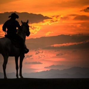 silhouette-cowboy-horseback-ranch-1024x597.jpg