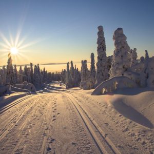 ski-landscape-1024x683.jpeg