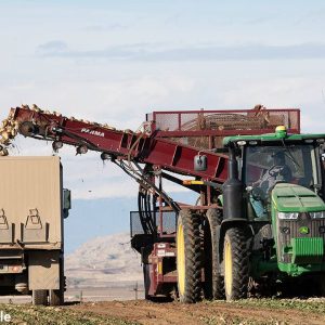 truck harvest